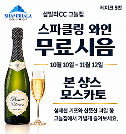 스파클링 와인 무료시음